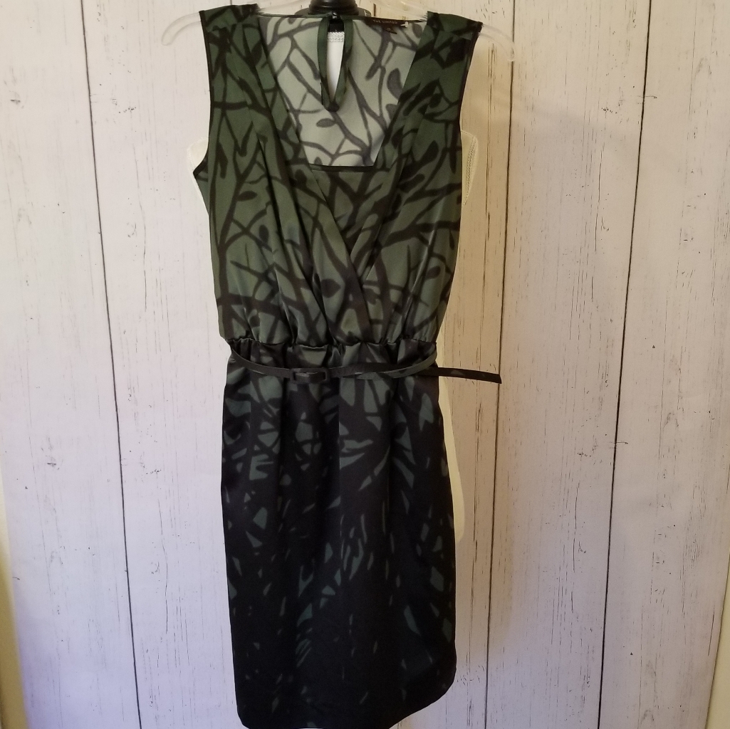 The Limited Green And Black Sleeveless Dress